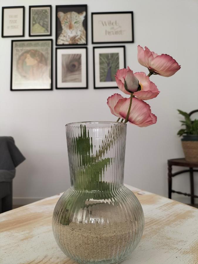 Apartamento Gades Conil C コニル・デ・ラ・フロンテラ エクステリア 写真
